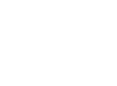 QV Verrier Designer